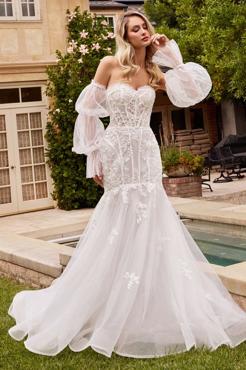 Organza Mermaid Gown