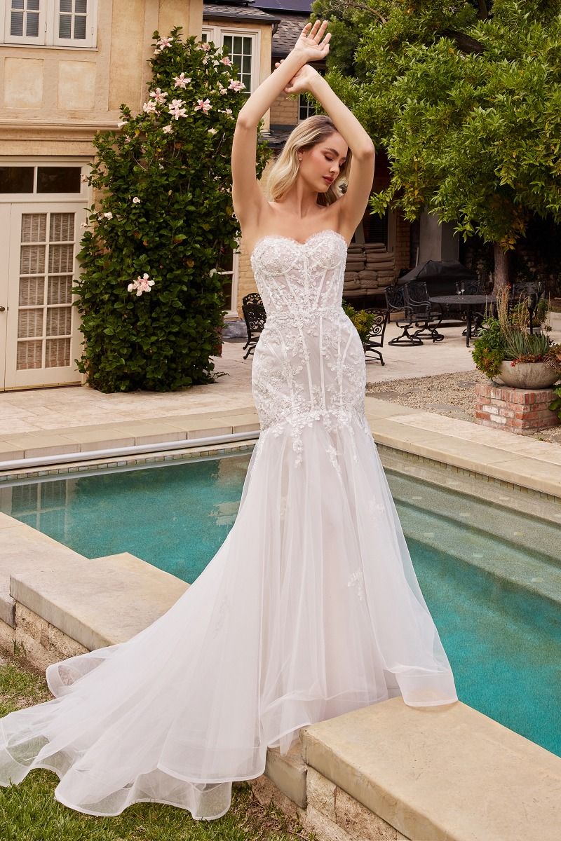 Organza Mermaid Gown
