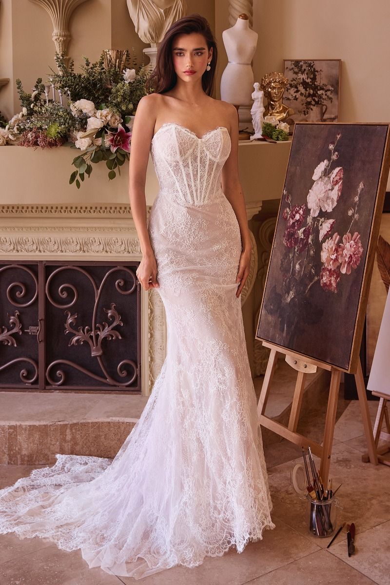Ivory Lace Overskirt Gown