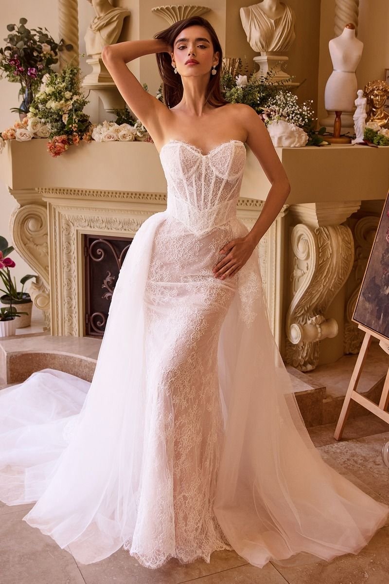 Ivory Lace Overskirt Gown